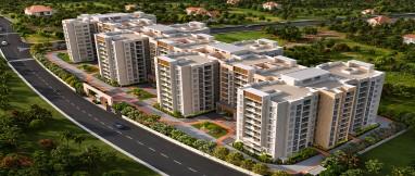 Ebony At Brigade Orchards